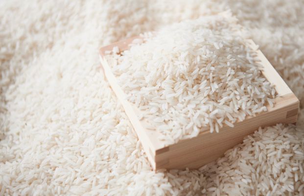 無水洗米の導入